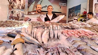 أسعار الأسماك في مصر اليوم الجمعة 2 يونيو 2023 بالأسواق