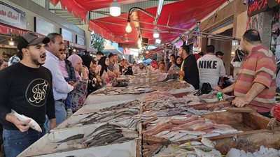 أسعار الأسماك اليوم السبت 3 ديسمبر 2022 في الأسواق 