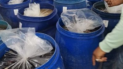 تفاصيل ضبط 3 أطنان عسل ومربى مجهولة المصدر بالعاشر من رمضان