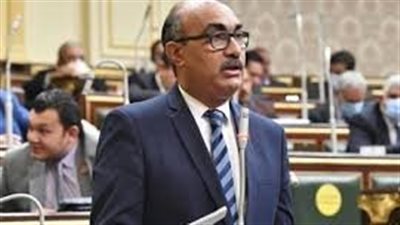 رئيس برلمانية المصري الديمقراطي: أعضاء البرلمان لن يستطيعوا القيام بدور المحليات