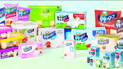 بنحو 75 جنيهًا للكرتونة.. ارتفاع أسعار عبوات جبنة دومتي في الأسواق | بث مباشر