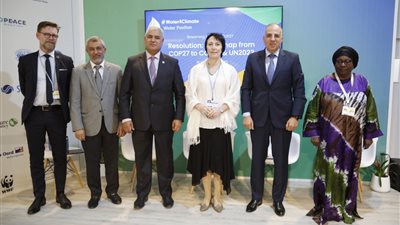 وزير الري: تعاون مصري إماراتي لإبراز قضايا المياه خلال مؤتمر المناخ المقبل