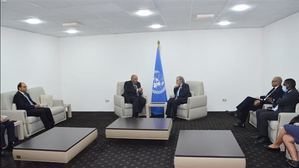 سامح شكري والأمين