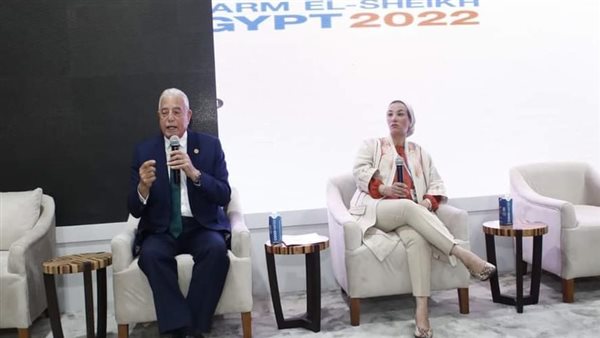 محافظ جنوب سيناء