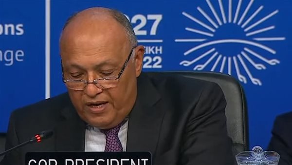 سامح شكري وزير الخارجية