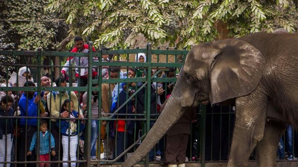 حديقة الحيوان بالجيزة