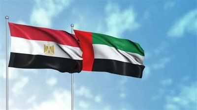 4.6 مليار دولار حجم التبادل التجاري بين مصر والإمارات خلال 11 شهرا 