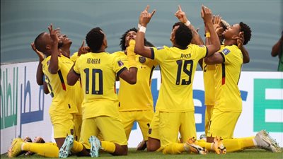 موعد مباراة الإكوادور المقبلة ضد منتخب هولندا في كأس العالم 2022