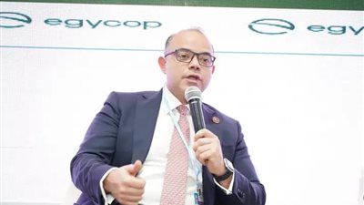 رئيس الرقابة المالية يشارك في يوم المال بجناح سنغافورة في ختام cop27 