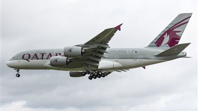 بالتزامن مع كأس العالم 2022.. قطر تضبط كميات كبيرة من الحشيش والترامدول مع أحد الوافدين