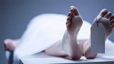 سقطا من أعلى سقالة.. مصرع عامل محارة وإصابة آخر أثناء عملهما بالبحيرة | ب ثمباشر