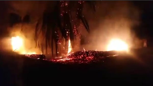 حريق في زراعات النخيل