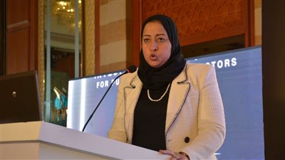 المالية: دعم الاستثمار وتوفير بيئة مناسبة له أصبح ضرورة واجبة