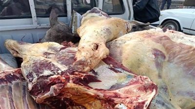 ضبط مصنع لمنتجات اللحوم بدون ترخيص في القليوبية