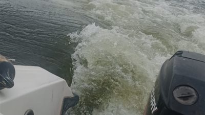 “الري”: رصد بقعة سولار في نهر النيل بجزيرة الزمالك… وجارٍ تتبع مصدرها (صور)