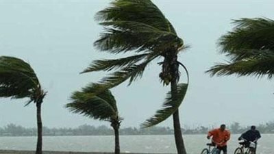 عودة الرياح تتسبب في توقف حركة الصيد بكفر الشيخ