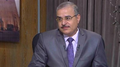 عميد معهد الملكية الفكرية: الحقوق الخاصة بالأفلام والمسلسلات المصرية معتدى عليها