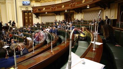 النائبة داليا يوسف تتساءل عن استعدادات الدولة المصرية لمواجهة فيروس كورونا