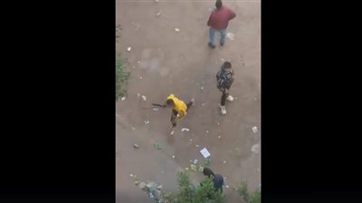 حبس طالب لاستعراض القوة بسلاح أبيض داخل مدرسة بالإسكندرية (فيديو)