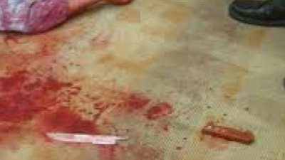 تعرف على القصة الكاملة لجريمة حدائق الأهرام