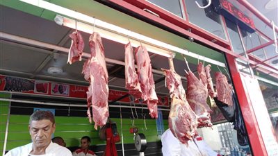 “الفلاحين” تحذر من أزمة مقبلة فى اللحوم بعد ارتفاع أسعار الأعلاف