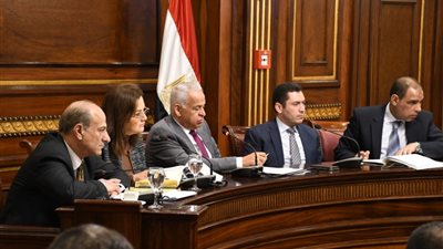 وزيرة التخطيط: 99.5 مليار جنيه قيمة استثمارات قطاع الصناعة خلال 2019