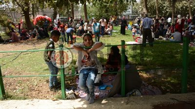 مصر تعرض إعادة تأهيل كوبري إيفل المعلق في حديقة الحيوان