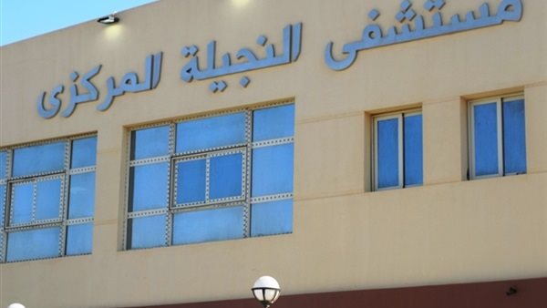 القاهرة 24