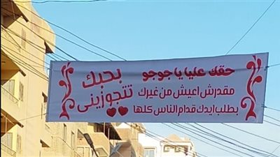حقك عليا يا جوجو.. لافتة تثير الجدل بشوارع كفر الشيخ | صورة
