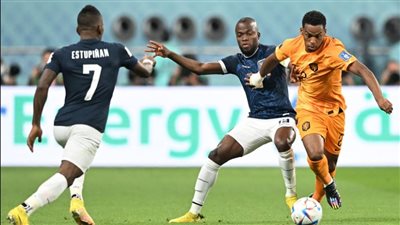 نتيجة مباراة هولندا والإكوادور.. حسم التأهل يتأجل بعد التعادل الإيجابي
