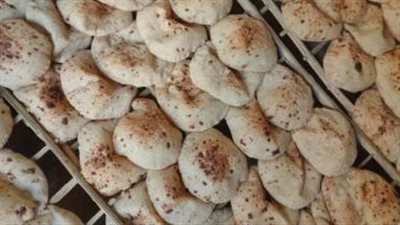 حقيقة تقليص حصة المواطن من الخبز على بطاقات التموين | بث مباشر