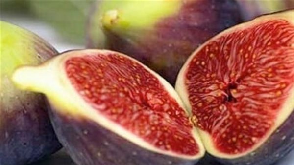 فوائد التين البرشومي