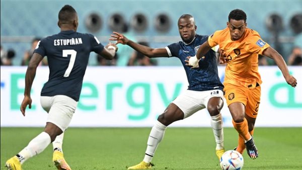 هولندا والإكوادور