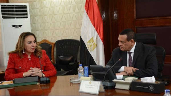 وزير التنمية المحلية