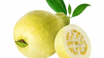 فوائد الجوافة للنساء.. تقلل من آلام الدورة الشهرية