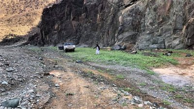 اللون الأخضر يكسو وديان حلايب وشلاتين بعد موجة الأمطار| صور