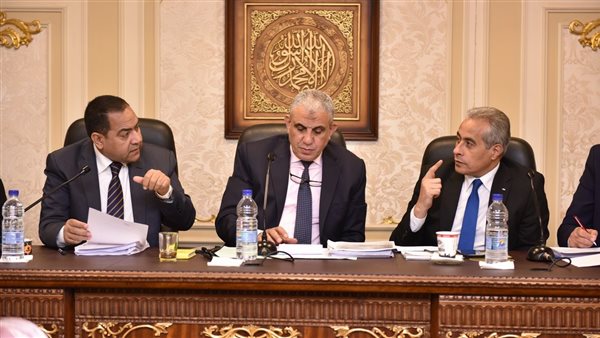 جانب من الجلسة