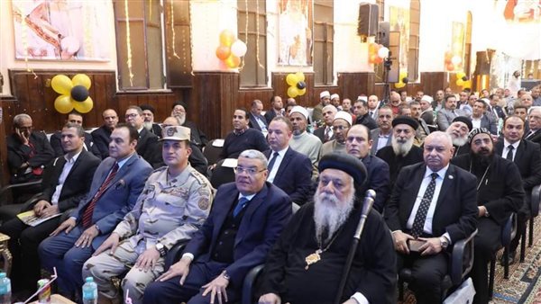 محافظ المنيا 