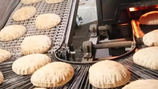 جانب من الحملة 