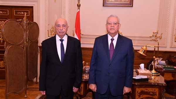 المستشار حنفي جبالي