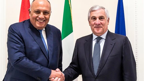 سامح شكري ونظيره