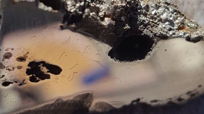 العلماء يكتشفون معدنين جديدين في كويكب سقط من الفضاء لا مثيل لهما على الأرض