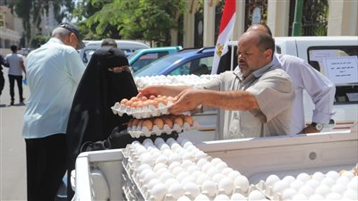 اتحاد منتجي الدواجن يعلن قفزة جديدة في أسعار كراتين البيض اليوم 