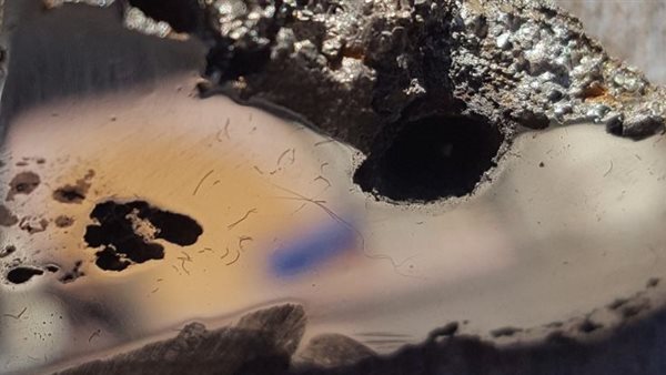 معدنان جديدان