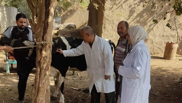 الطب البيطري بالغربية