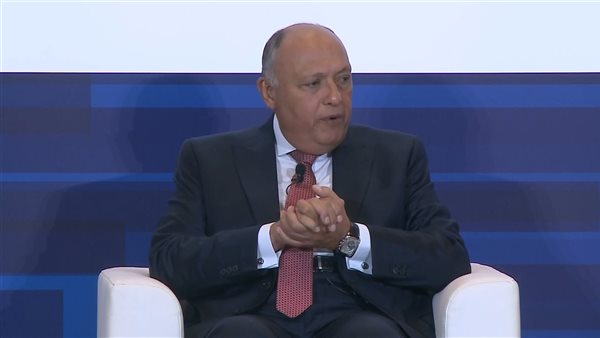 سامح شكري وزير الخارجية