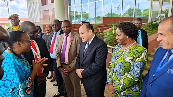 المهندس أحمد سمير