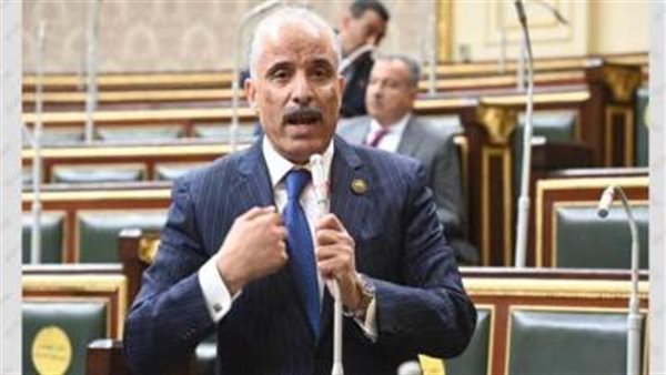 النائب عيد حماد