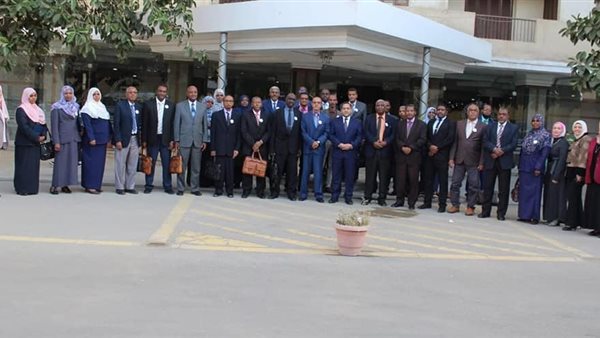 التنظيم والادارة