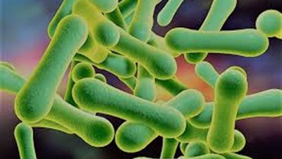 خبير مناعة يوضح أعراض عدوى الدفيتريا وطرق الوقاية منها